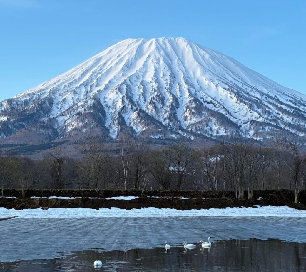 🏂 무이카마치 핫카이산 스키장 (무이카마치 핫카이산 스키-조) 이미지 9